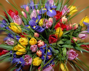 6460220_1efcf_15deca3d_XL